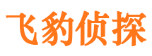 正蓝旗市调查公司